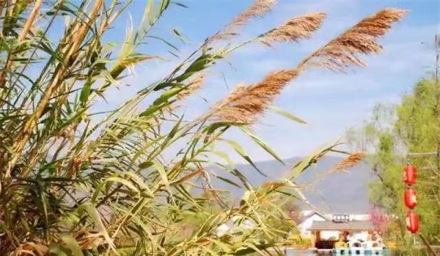 創虹家具,酒店家具,五星級酒店家具,酒店家具定制廠家,酒店家具定制,酒店套房家具